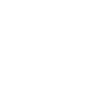 Varna's Tour & Travels